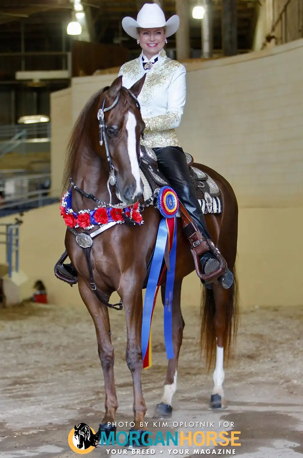 Gulfwind's Girl On Fire CH